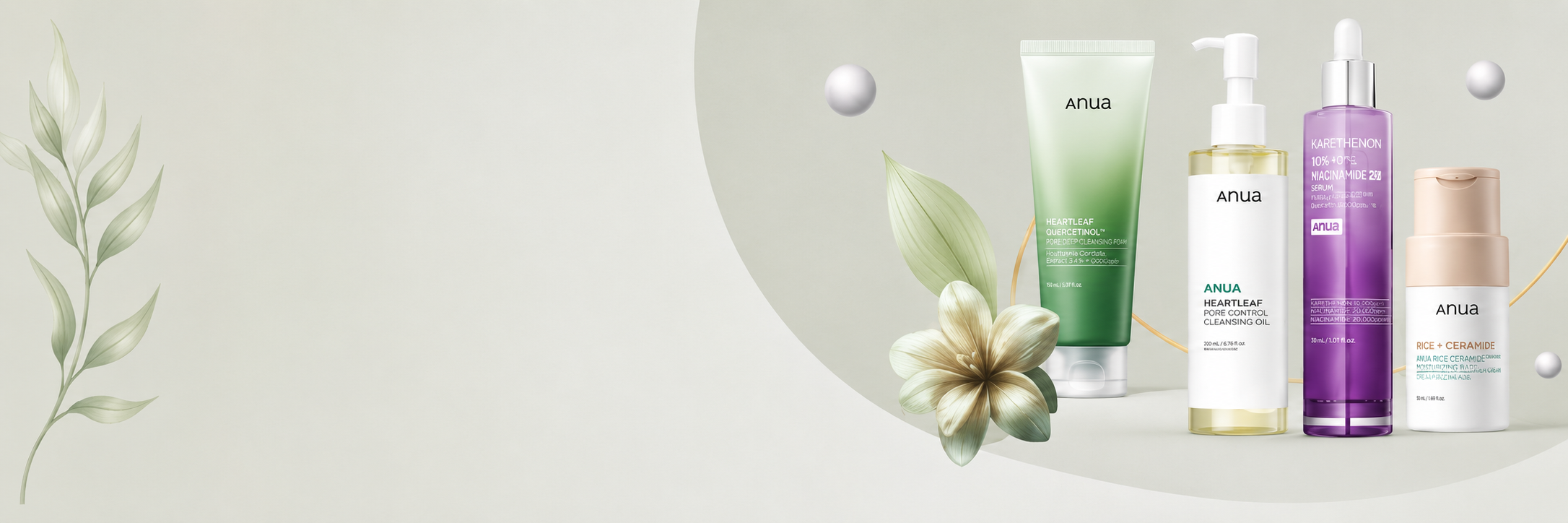 Collection Banner